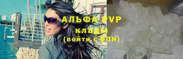 дживик Новозыбков