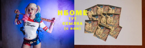 дживик Новозыбков