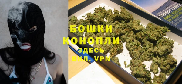 дживик Новозыбков