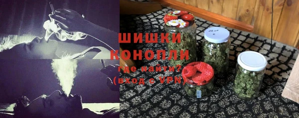 дживик Новозыбков