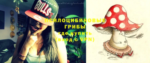 трава Новодвинск