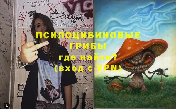 трава Новодвинск