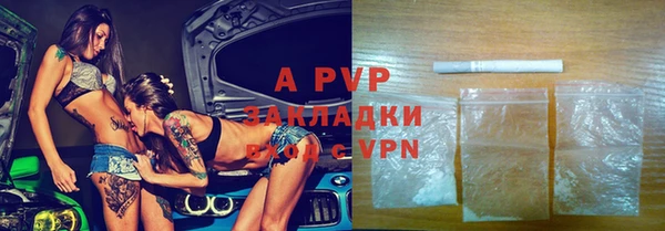 трава Новодвинск